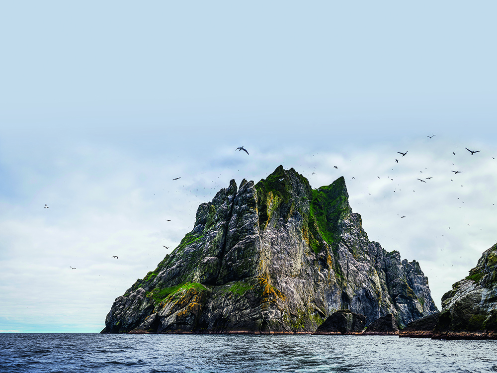 Jagged cliffs of a St Kilda sea stack rising sharply from the water, surrounded by soaring seabirds against a pale sky.