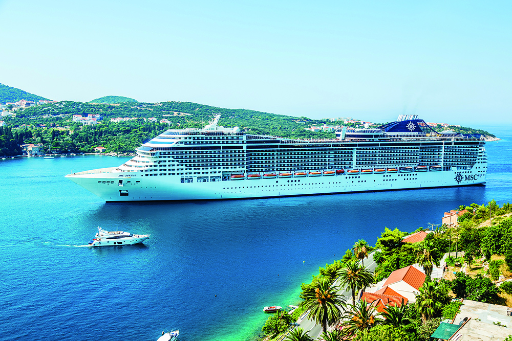 Large cruise ship passing coastal waters near small boats and shoreline, illustrating heavy marine traffic and ocean noise sources