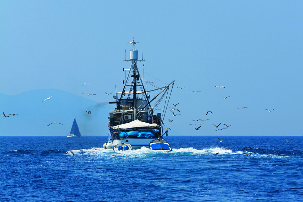 Fishing vessel underway with seabirds following, illustrating marine traffic, sonar use and potential underwater noise impact