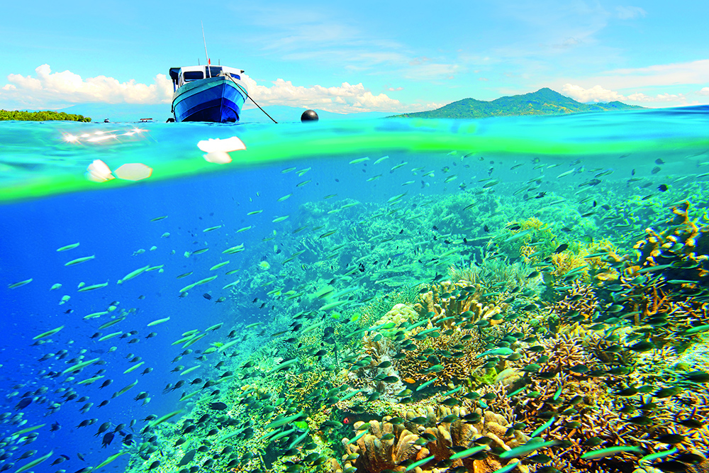 Boat above coral reef with fish below, highlighting marine ecosystems exposed to vessel noise and human activity