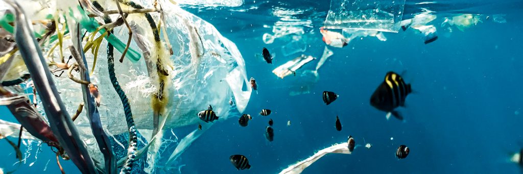 image of plastic debris under the sea with fish swimming around