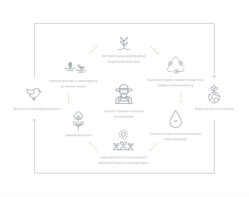 OCEANR Organic Cotton Process