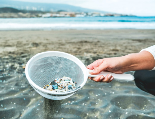 Microplastics in Oceans Rise Tenfold