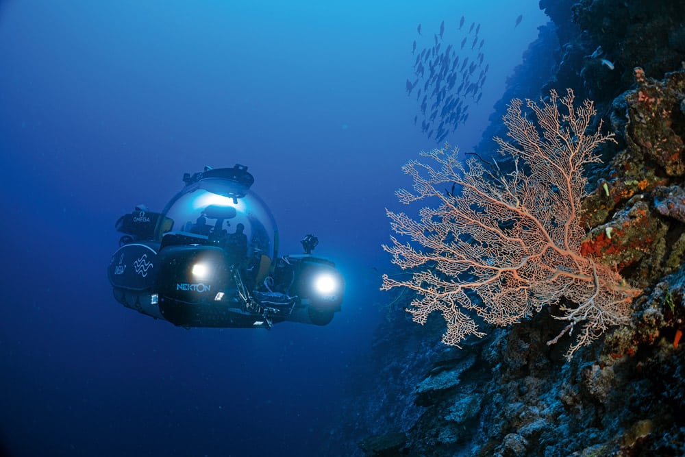 Scientists using deep sea submersibles examine the health of coral reefs off the coast of the Maldives in September 2022. Scientists project coral reefs to decline by a further 70% to 90% by 2030 if global warming reaches 1.5 degrees.