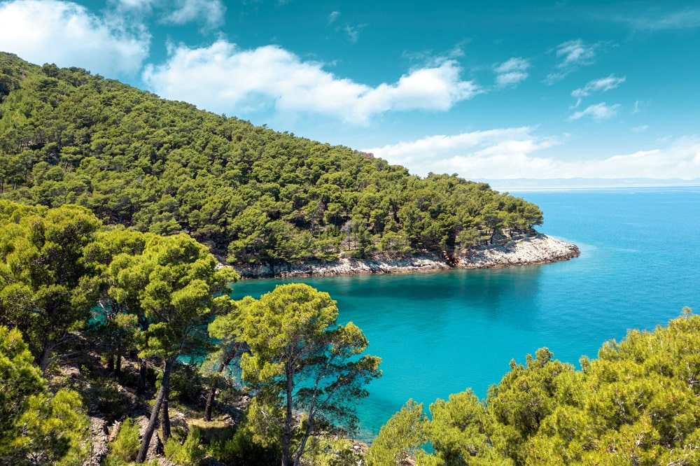 The lush green coastline of the Dalmatian coast with view of Biokovo mountain range in the distance.