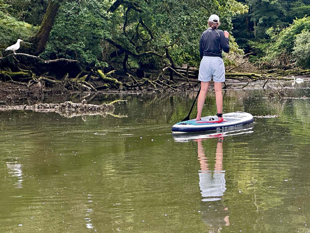 A paddleboarder drifts quietly through a narrow wooded creek on the Helford River, with overhanging branches and calm reflective water.