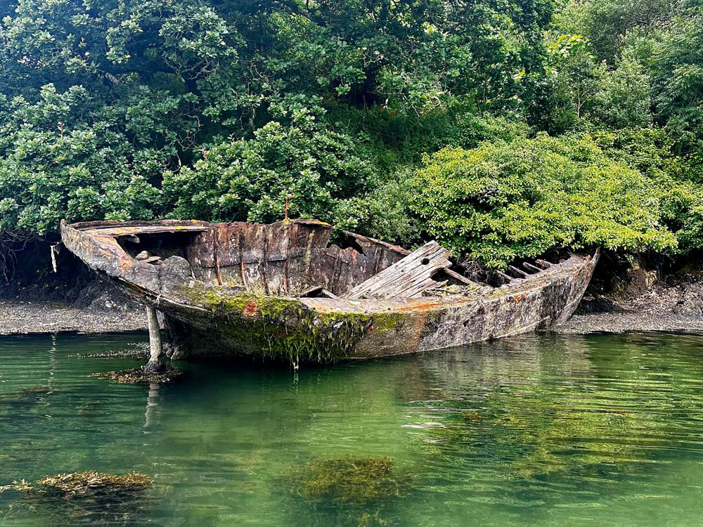 A weathered wooden wreck rests in shallow green water at the head of Frenchman’s Creek, surrounded by dense overhanging woodland.