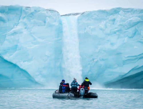 Fancy a micro Arctic expedition?