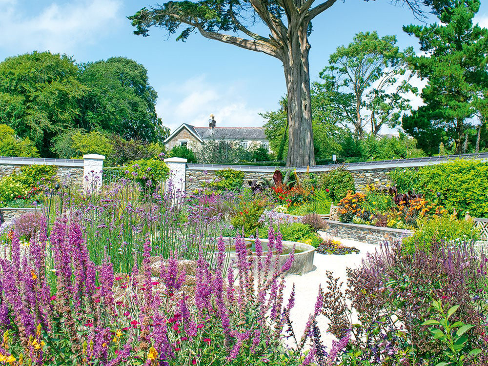 Vibrant subtropical flower borders and stone pathways at Trebah Gardens, framed by mature trees under a bright summer sky.