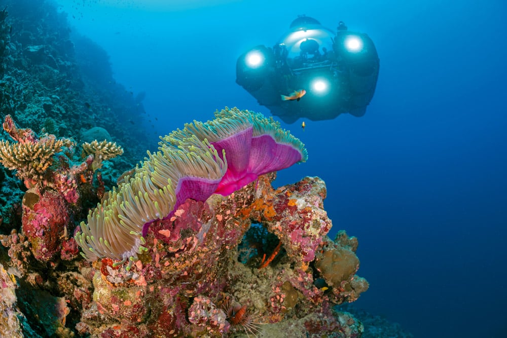 Scientists use a three-person submersible.