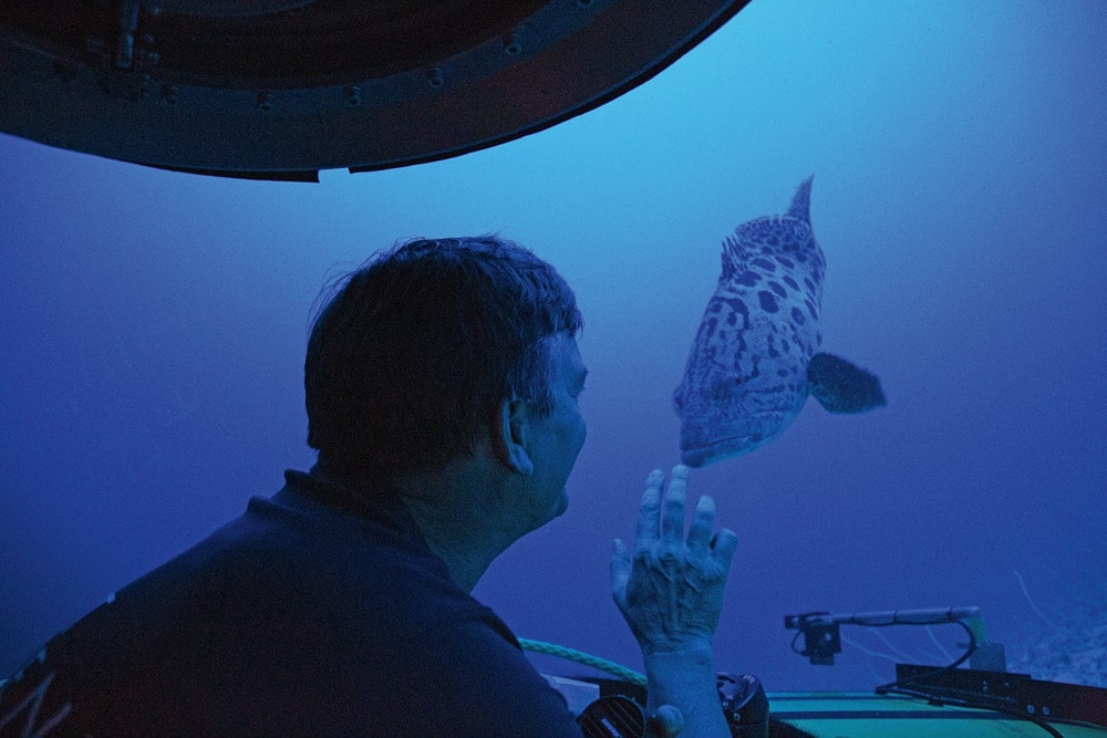 Submersible pilot Robert Carmichael had this up close and personal meeting with a Grouper fish off the coast of the Seychelles.