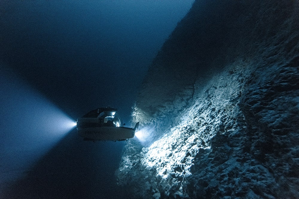 Scientists use a three-person submersible capable of diving deep into the global ocean in a quest to find new species.