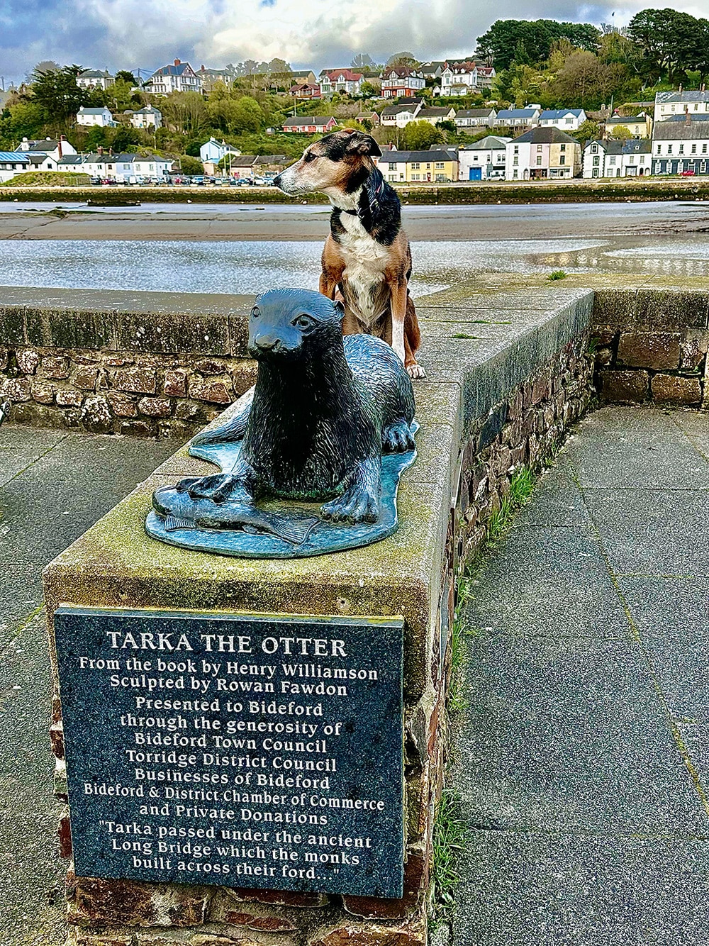 Ship’s dog ‘Jess’ & Tarka the Otter at Bideford.