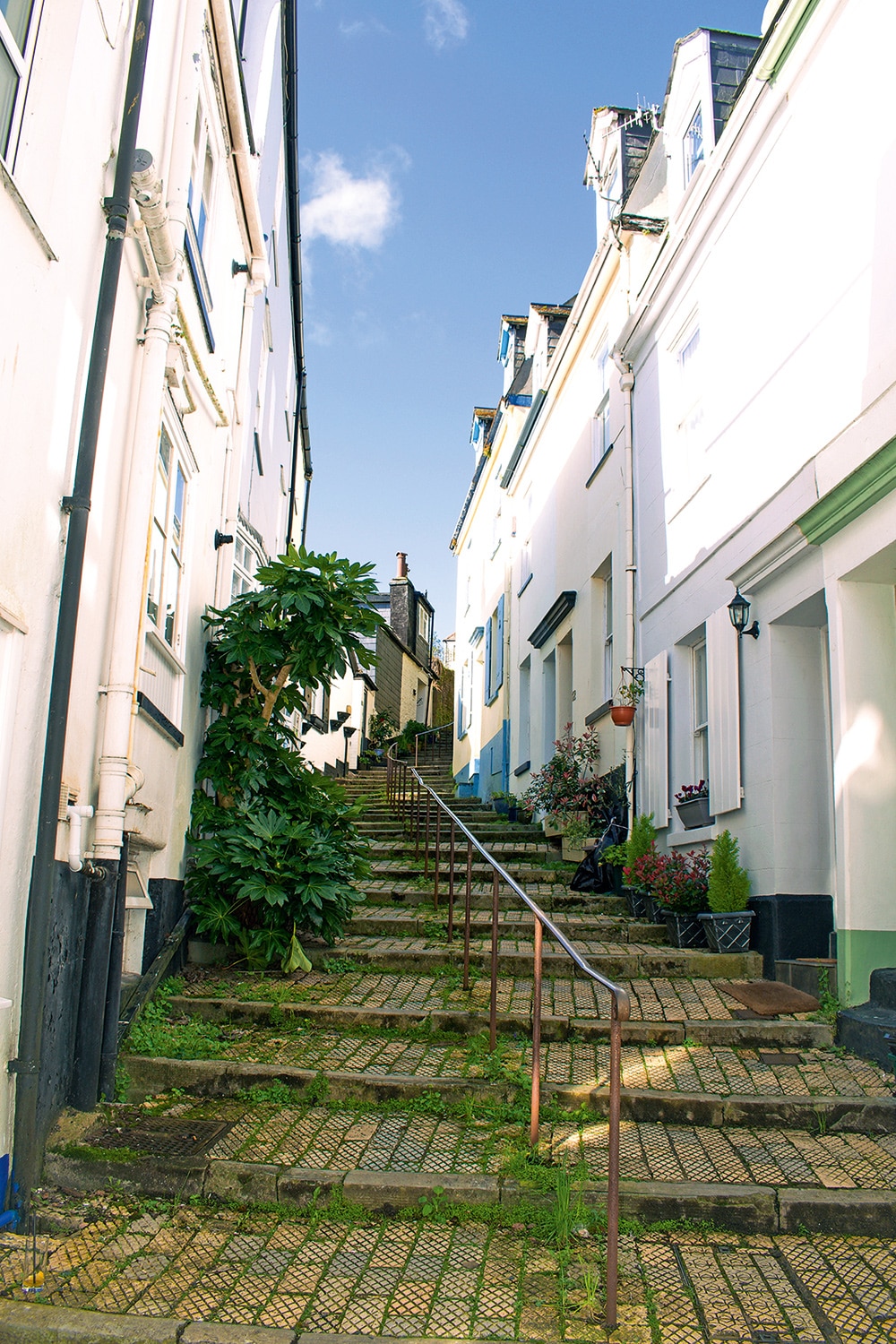Dartmouth, River Dart. Winding alleys and steps inviting exploration.