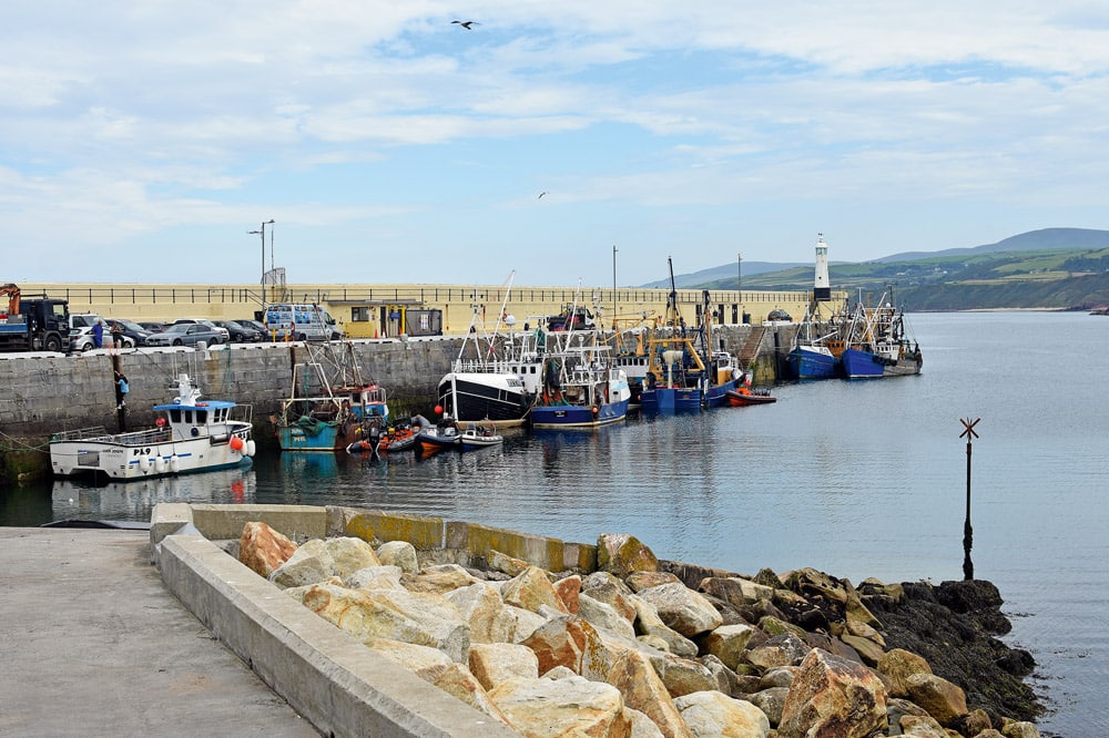 Our boats dwarfed by the local fishing fleet.