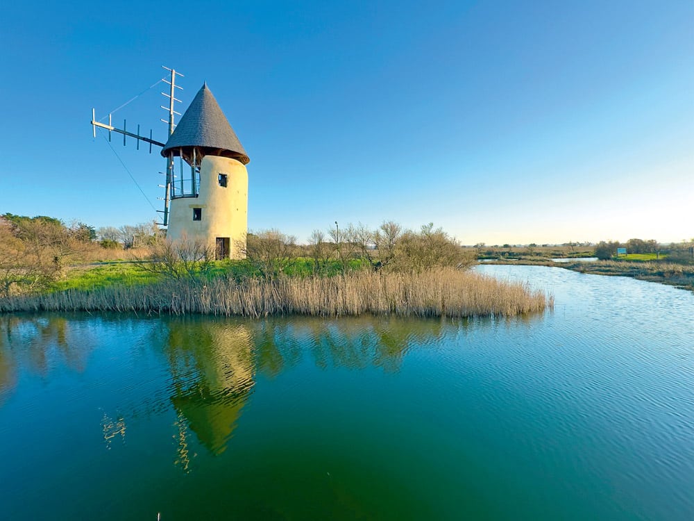 Top: During the Wars of the Vende, windmills were used to relay the position of the troops by changing the angle of the sails. Now the area is a haven for birds and wildlife. Les Sables