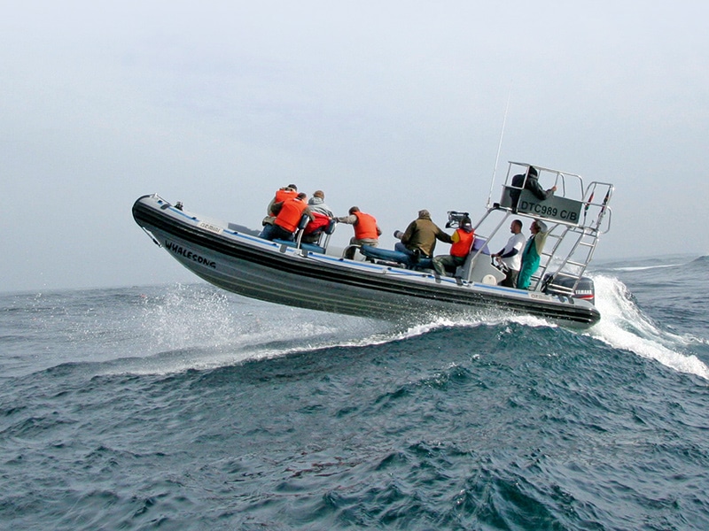Powerboat and RIB
