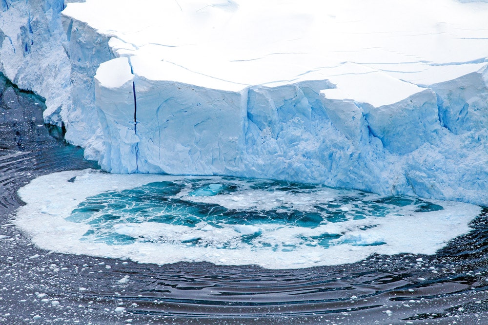 Collapsing Glacier, Neko Harbor, Antarctica. © Stock/SimonKR Ocean habitats