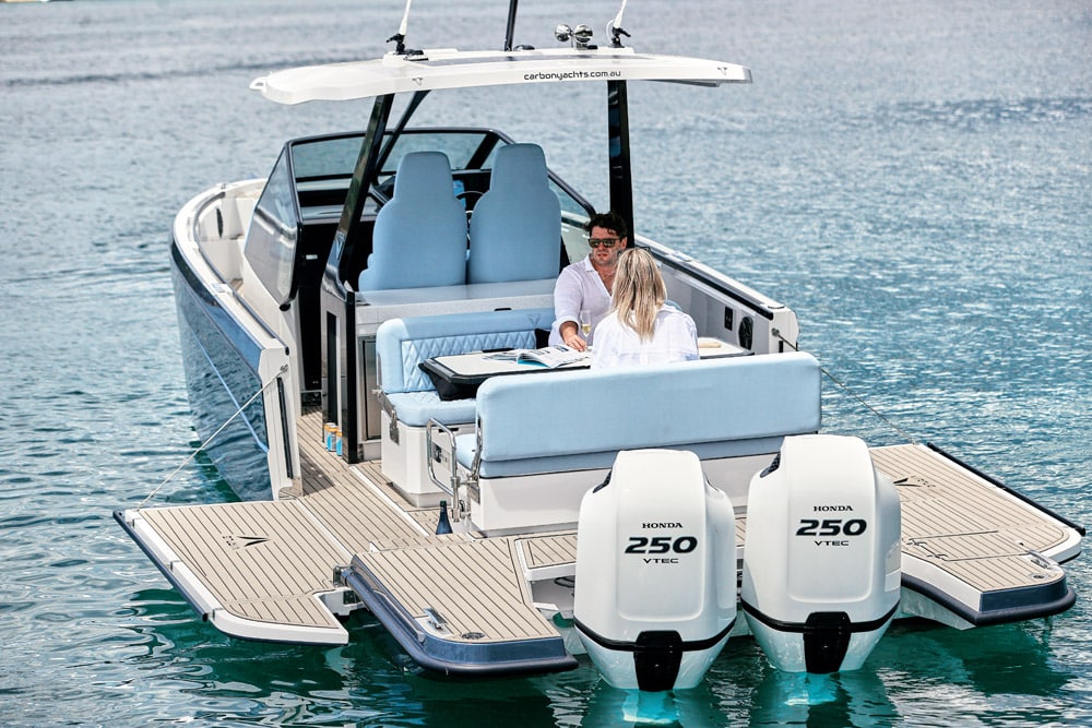 Virtue V10