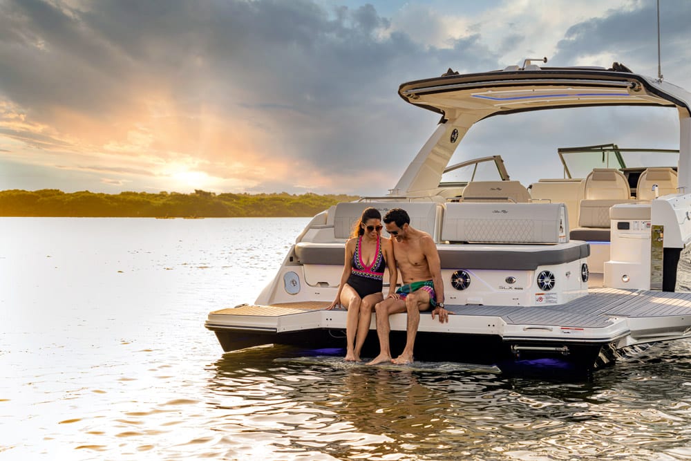Sea Ray. boat speakers