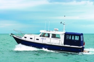 Seaward 29