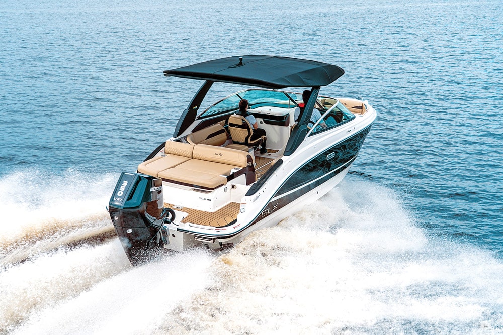 Searay & Mercury engine