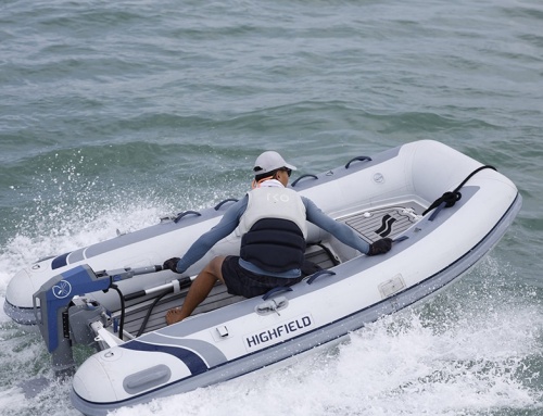 Momentum M10 Electric Outboard Launches at Seawork