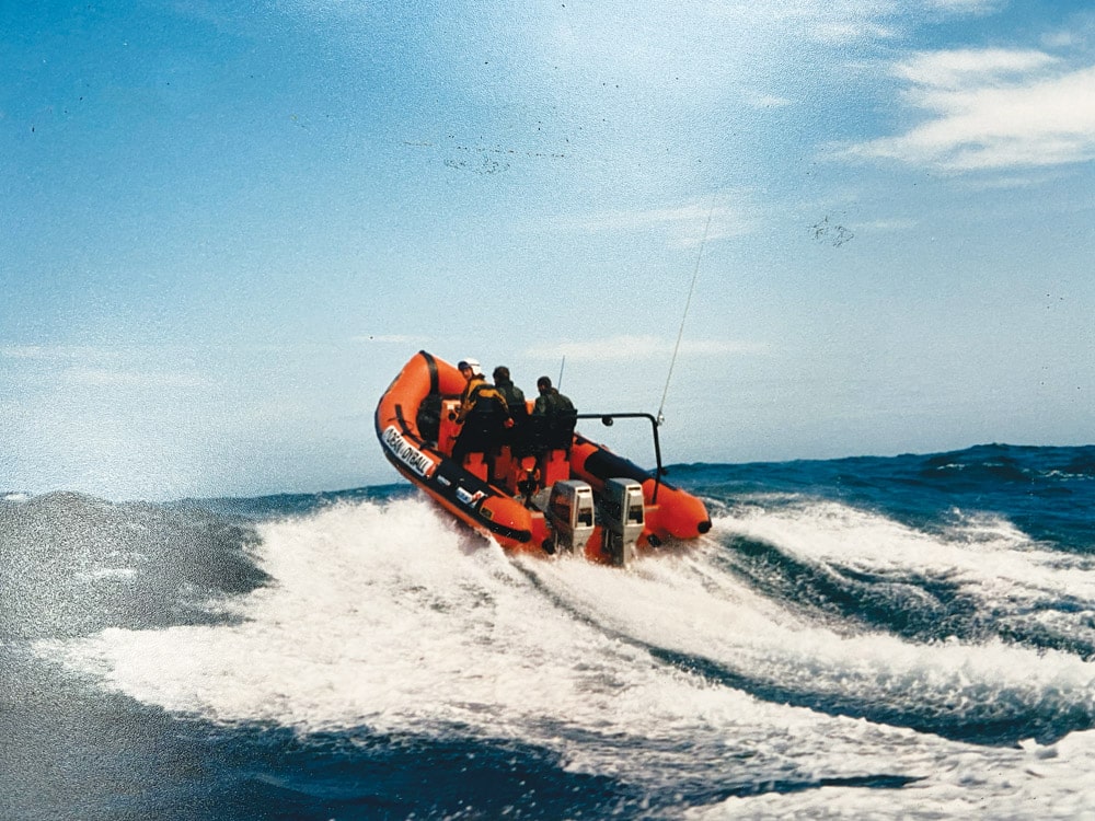 7m+ Delta RIB