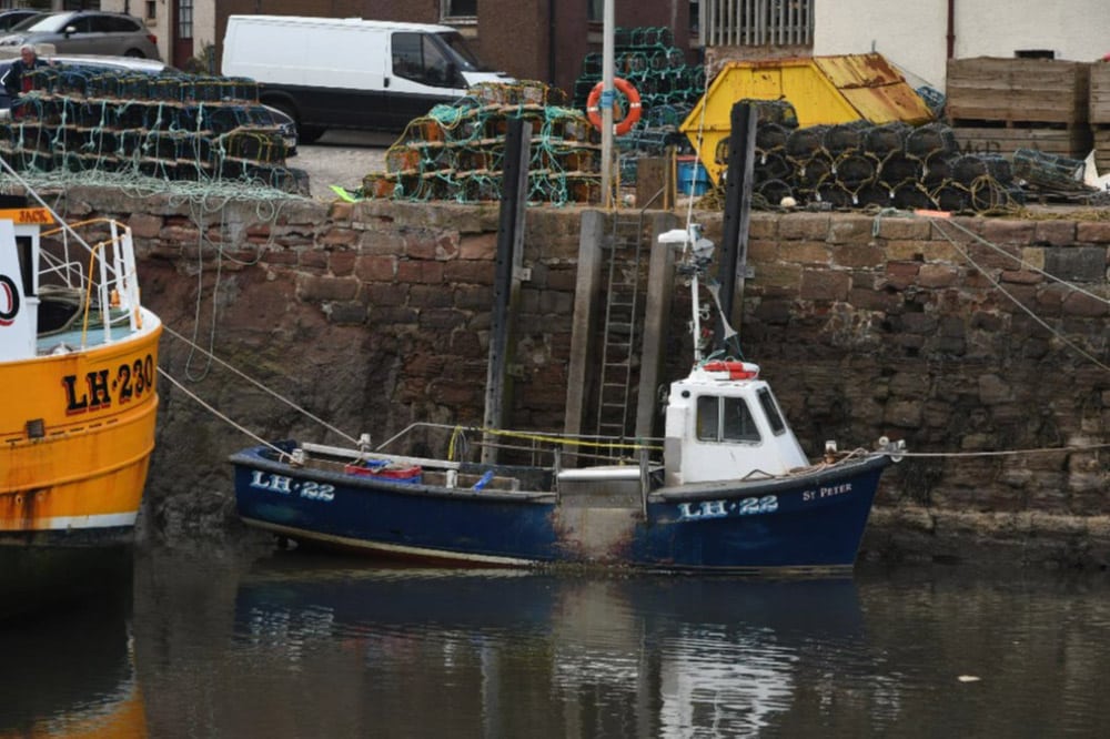 Powerboat and RIB
