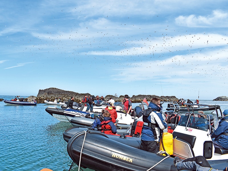 Powerboat and RIB