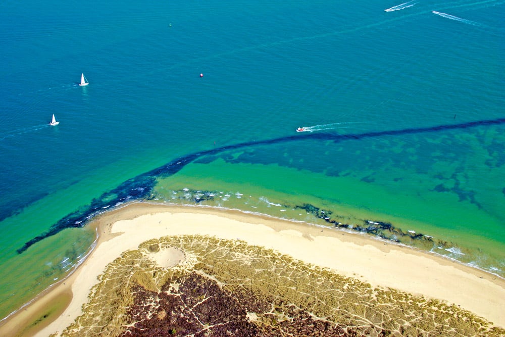 Studland beach & nature reserve, aerial view - © iStock-Sannawicks