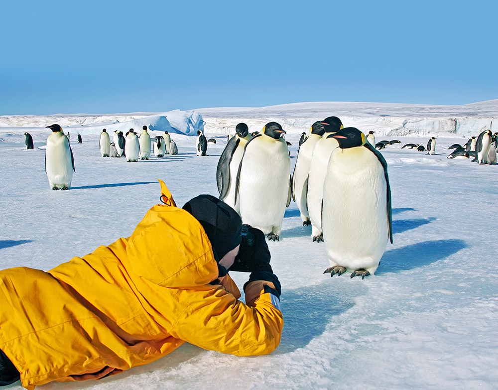 Tourist getting close © iStock/ Keith Szafranski. Ocean habitats