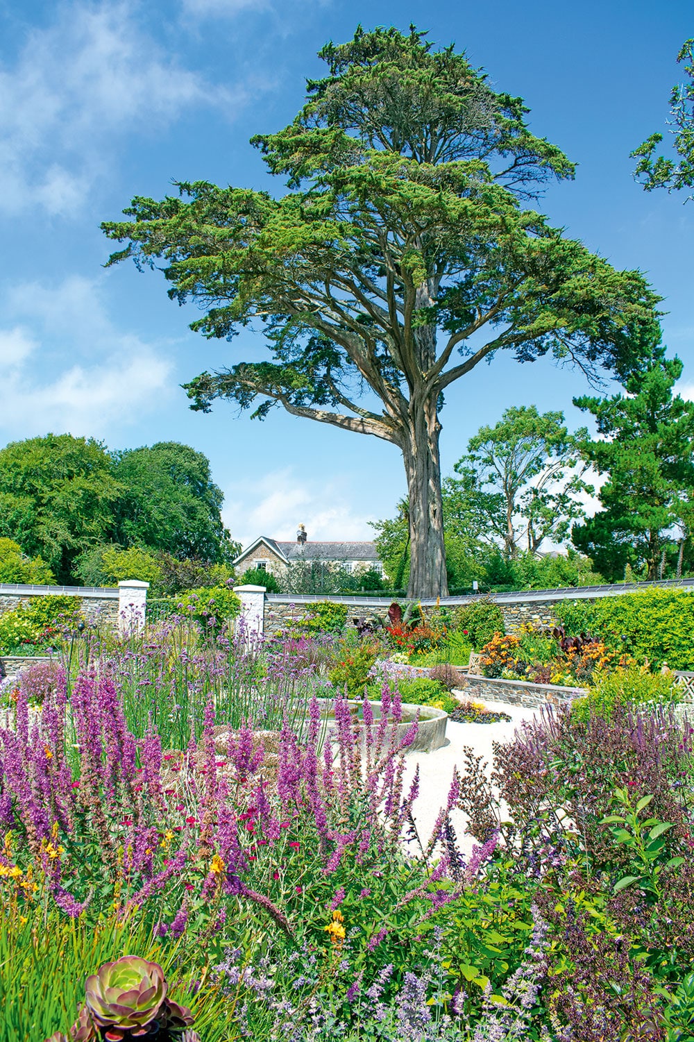 The sub tropical gardens at Trebah.