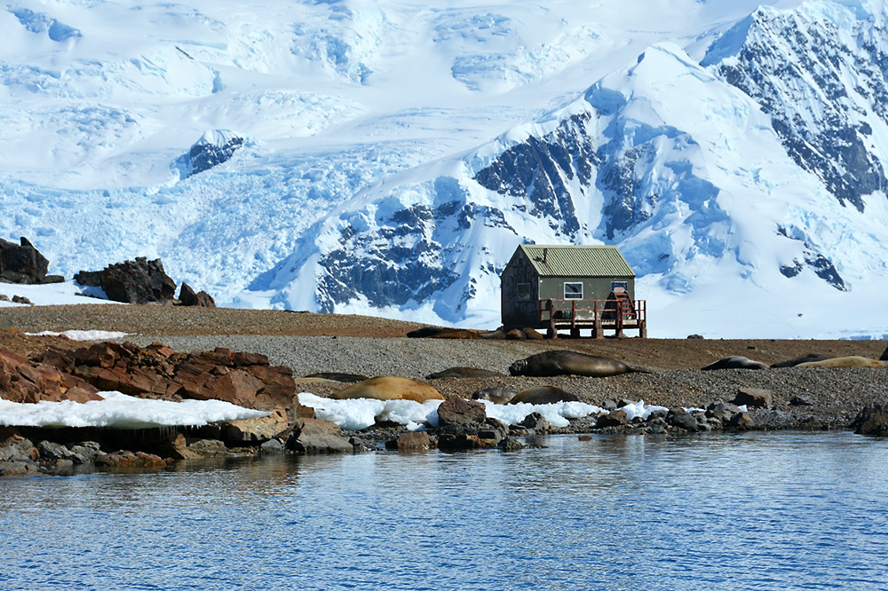 Wooden hut on coastline in Antarctica with snow behind and Elephant Seals in the foreground