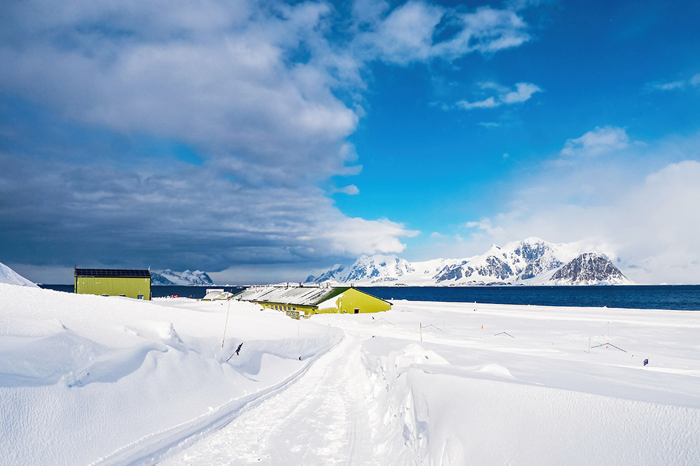 picture of heavy snow and yellow buildings in the background and the sea