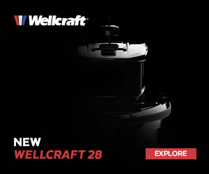 wellcraft mpu
