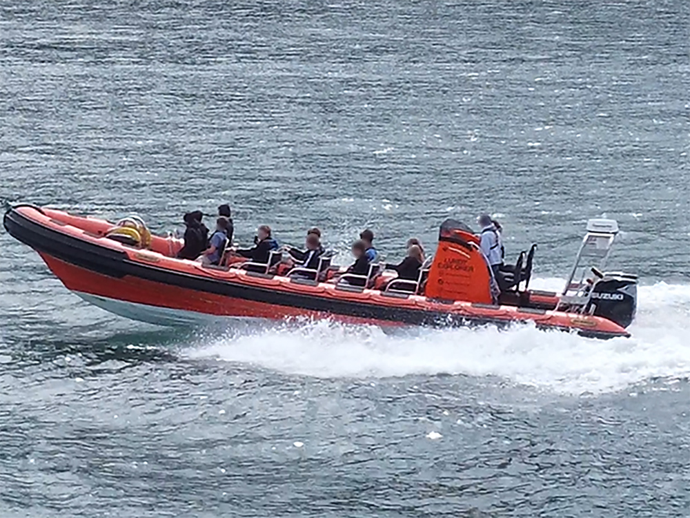 RIB boat carrying passengers on a sea safari off Ilfracombe, travelling at speed across the water.