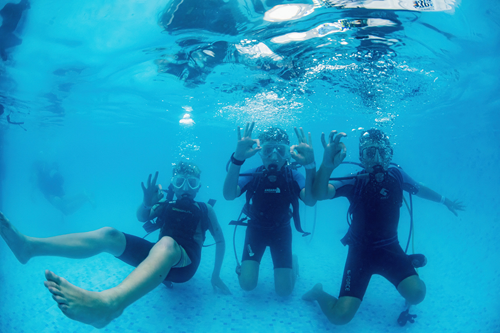 Divers in the water at SIBS.
