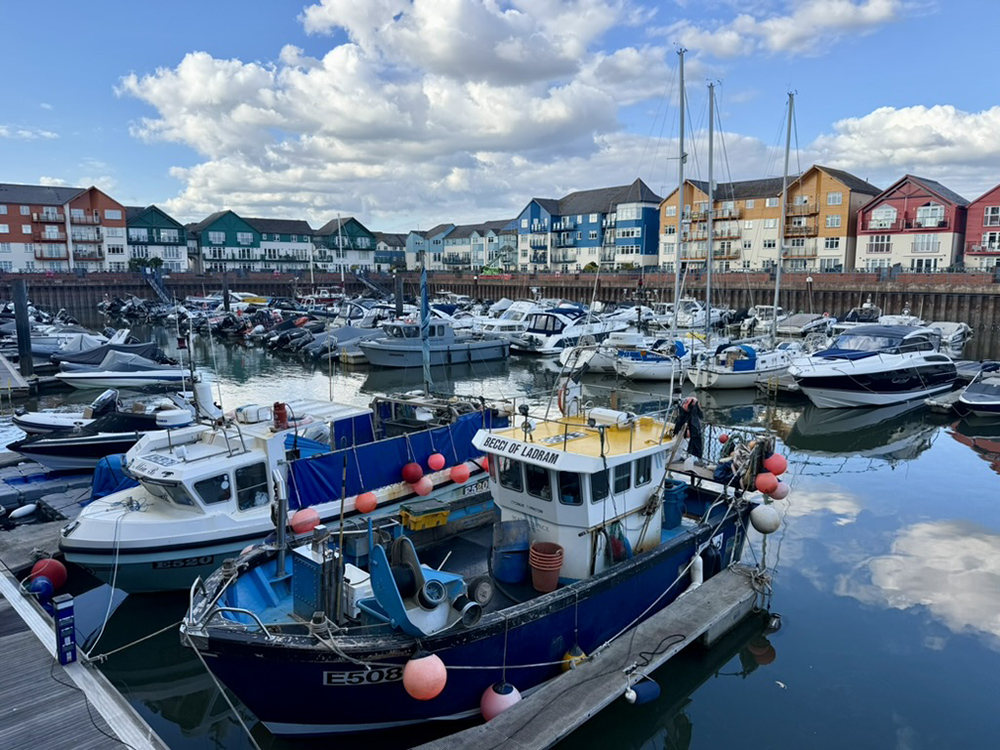 Fishing boats and leisure craft moored in Exmouth Marina with colourful waterfront houses reflecting in the calm water.