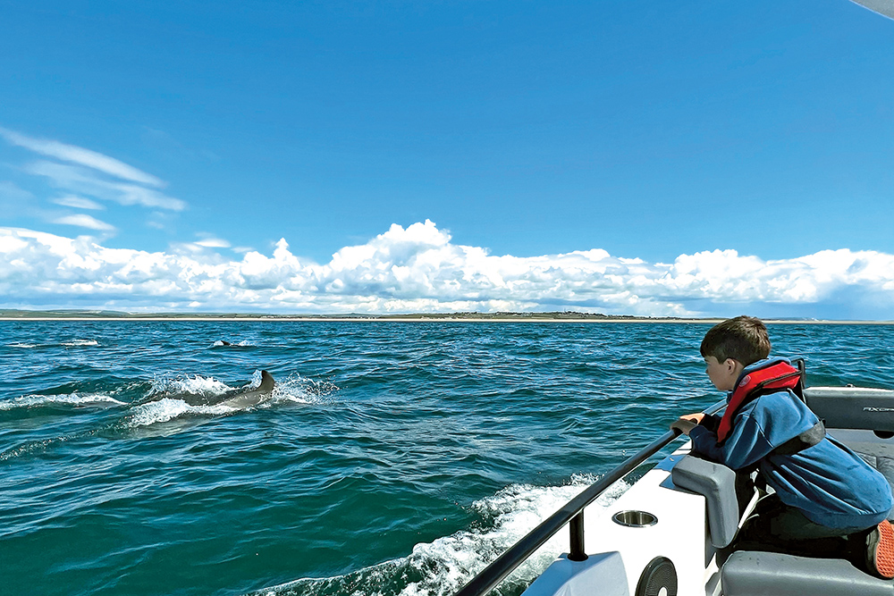 Boy looks out at dolphins whist on board Axopar 28