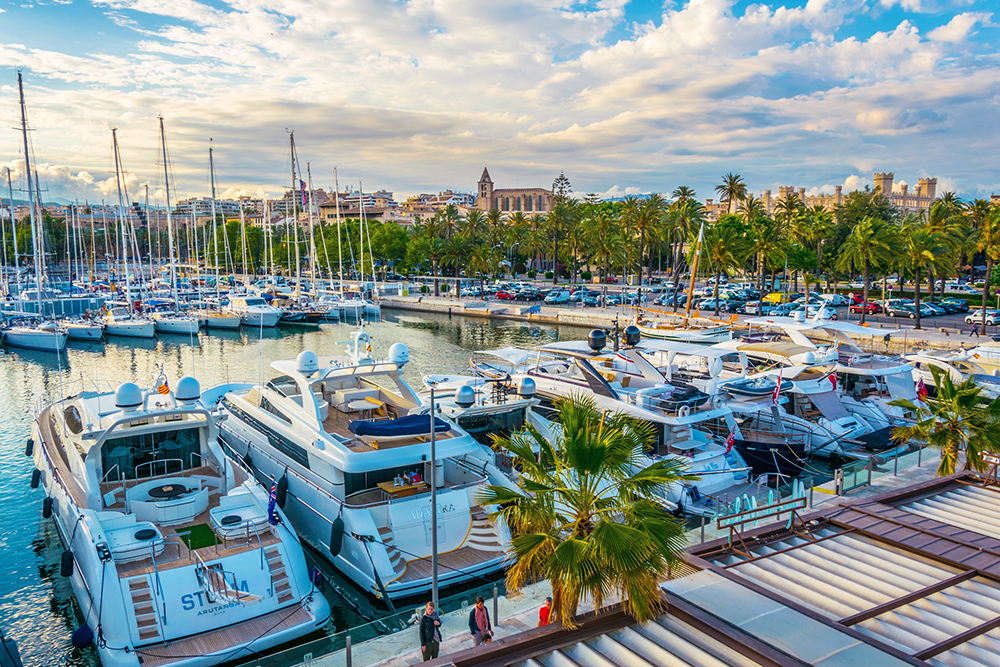 Motorboats in Palma marina with cathedral behind.