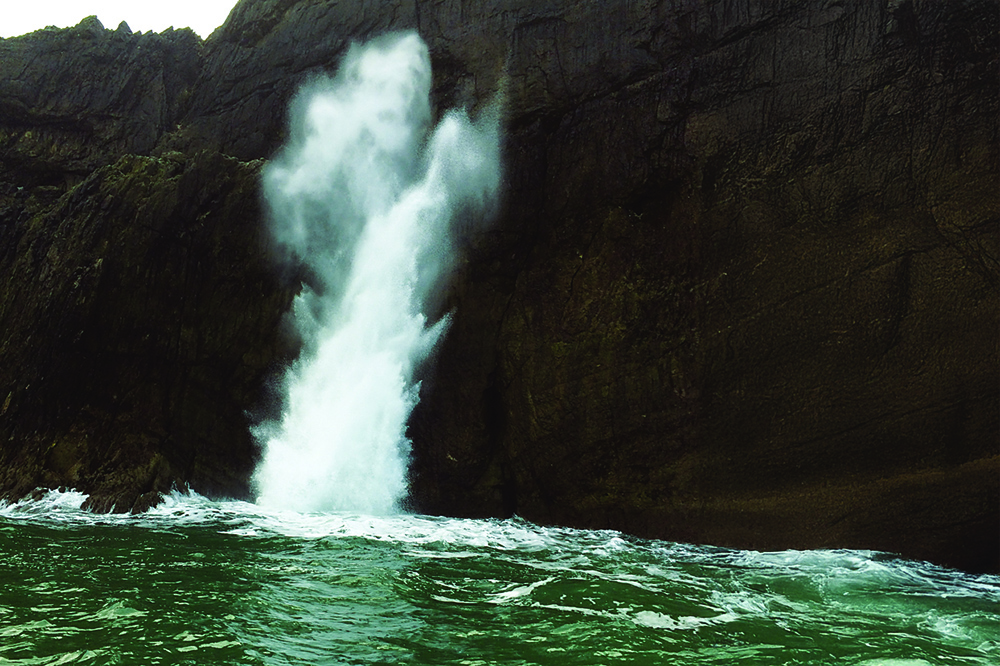 Waves explode through Worm’s Head blowhole, sending spray high against dark cliff face.