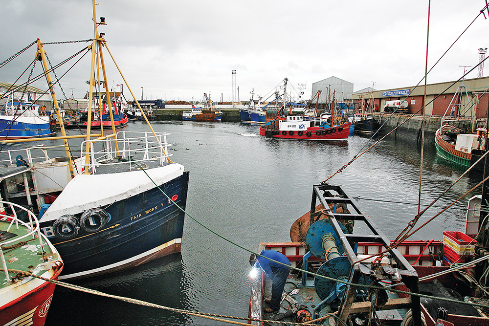 Fishing boats moored in Troon harbour with working deck gear and quayside sheds.
