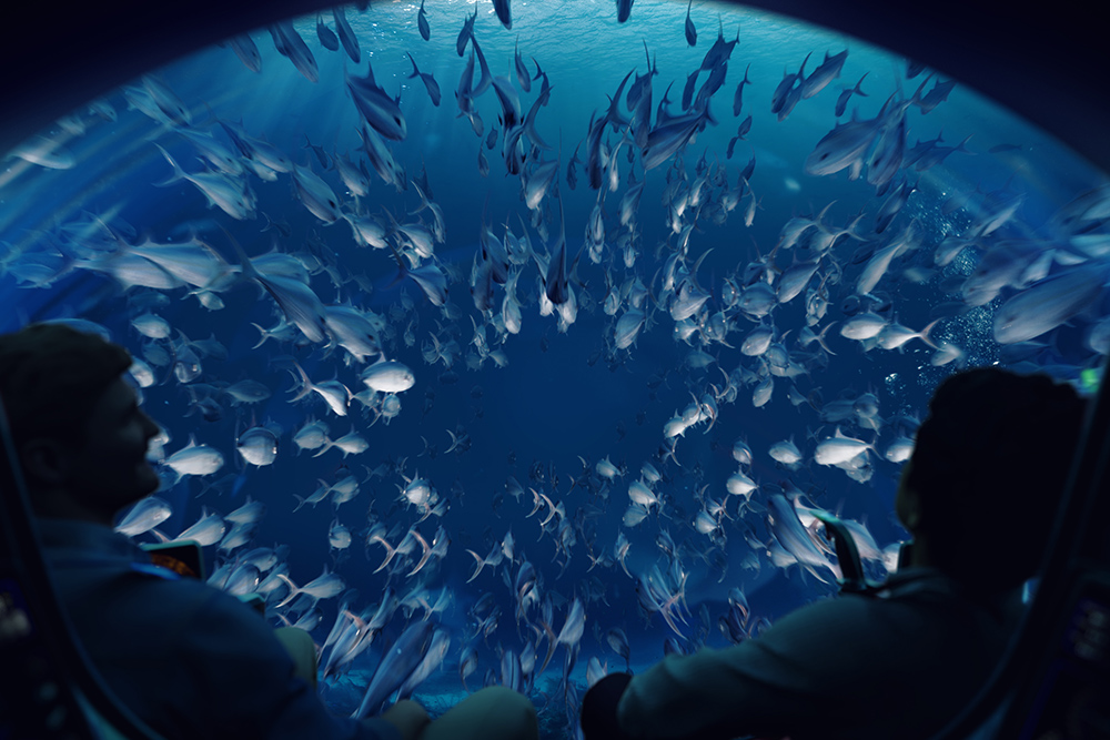 Passengers view schooling fish through U-Boat Worx submersible dome during underwater exploration