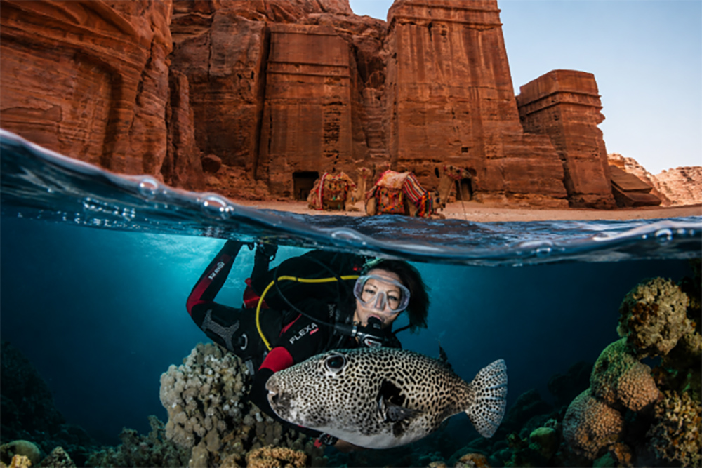 Aqaba diving scene with coral, pufferfish and Red Sea waters beneath Jordan’s desert cliffs and camels