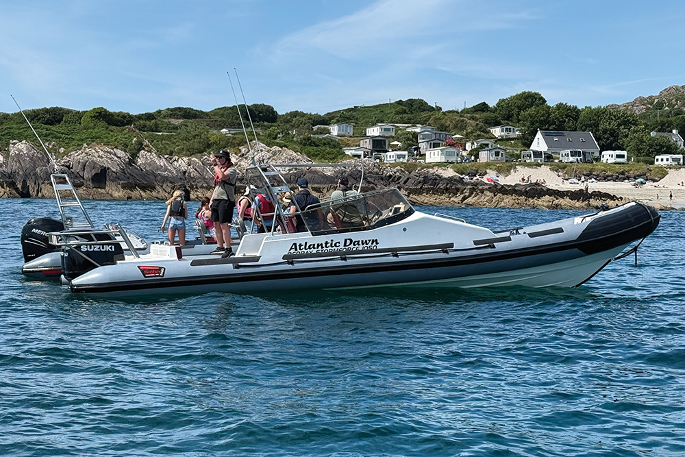 Powerboat and RIB