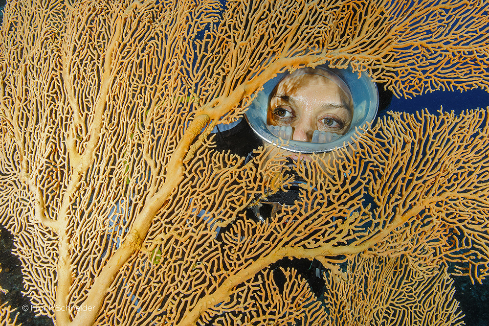 Scuba diver peering through the branches of an orange sea fan coral, eyes visible behind a round dive mask.